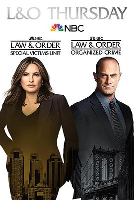 法律与秩序：特殊受害者第二十三季的海报