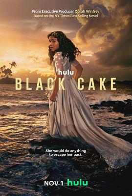 黑色蛋糕第一季的海报