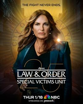 法律与秩序：特殊受害者第二十五季的海报
