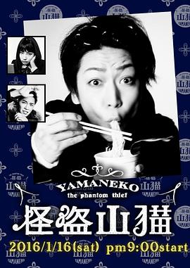 怪盗山猫的海报