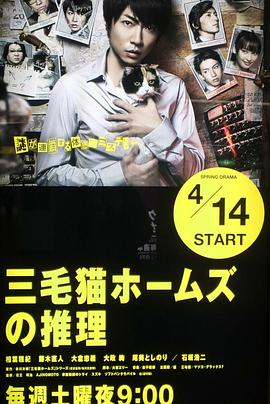 三花猫福尔摩斯的推理的海报
