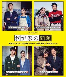 我家的问题的海报