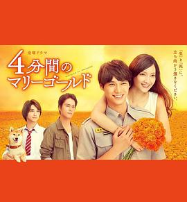 四分钟的金盏菊的海报