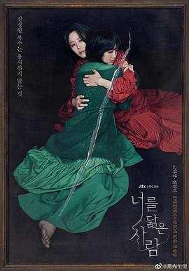 你的倒影的海报