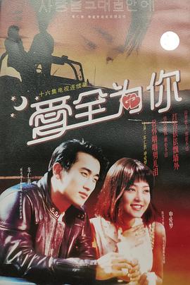 爱的火花1994的海报