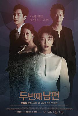 第二个老公的海报